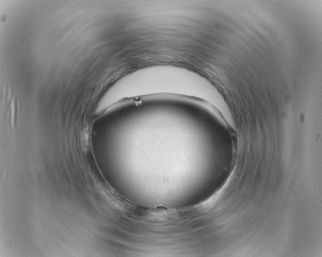 X0000088900190200706291514