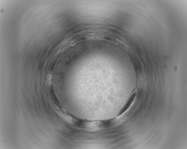 X0000088900191200706291514