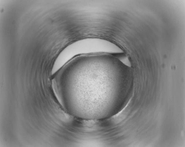 X0000088900192200706291514