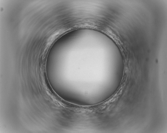 X0000088900193200706291513