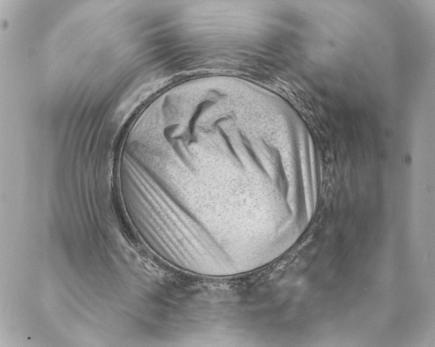 X0000088900194200706291513