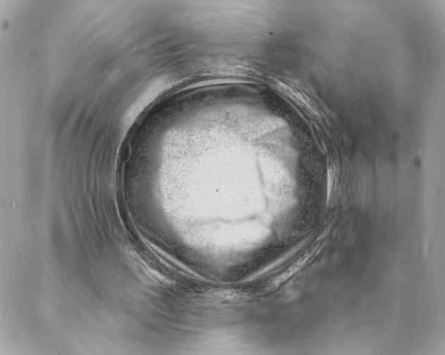 X0000088900195200706291513