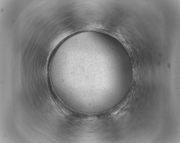 X0000088900196200706291513