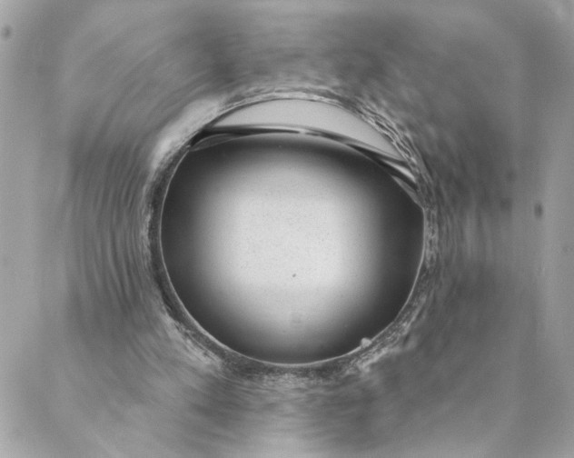 X0000088900197200706291513