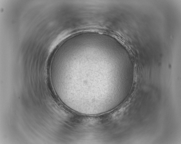 X0000088900198200706291513