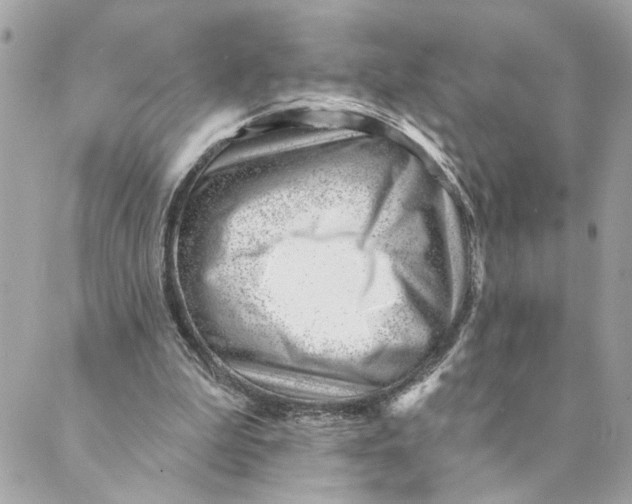 X0000088900199200706291513