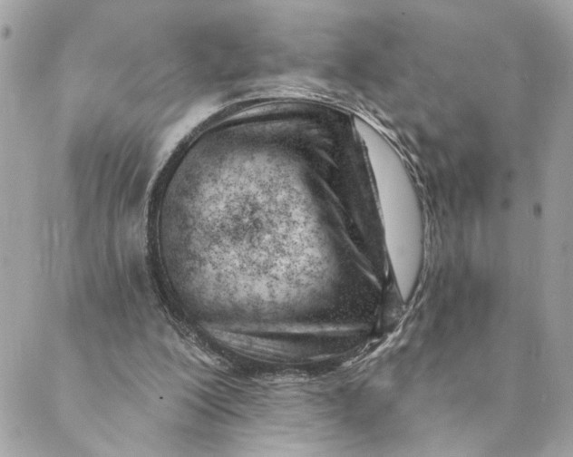 X0000088900200200706291513