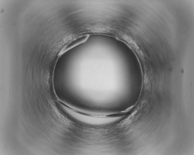 X0000088900201200706291513