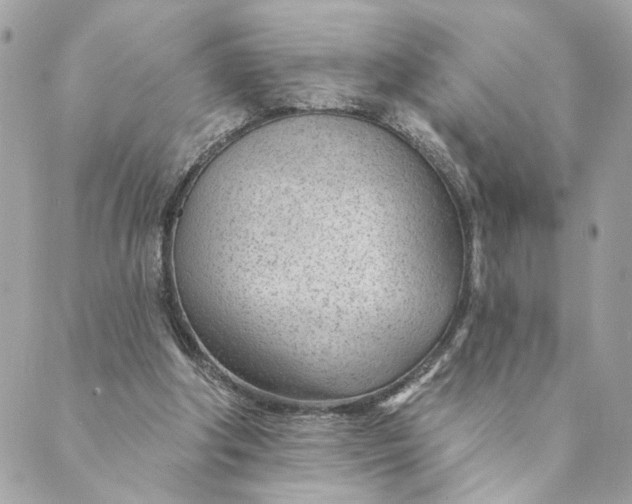 X0000088900202200706291513