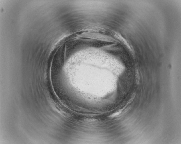 X0000088900203200706291513