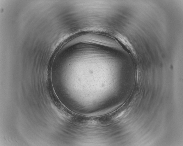 X0000088900204200706291513