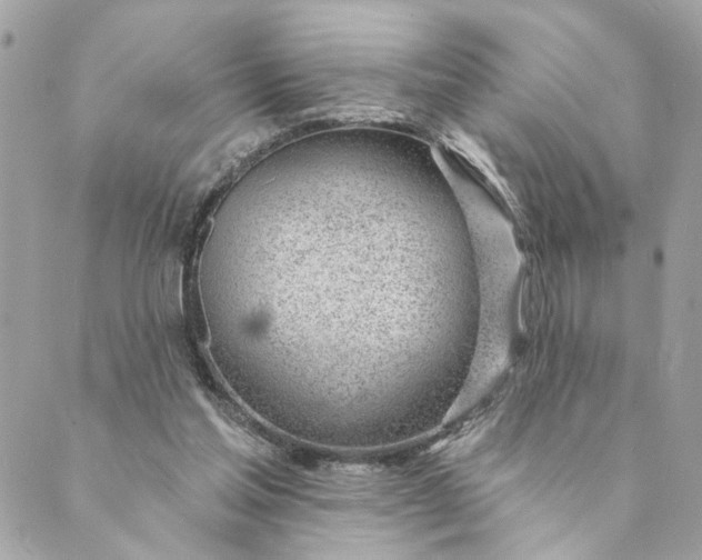 X0000088900205200706291513