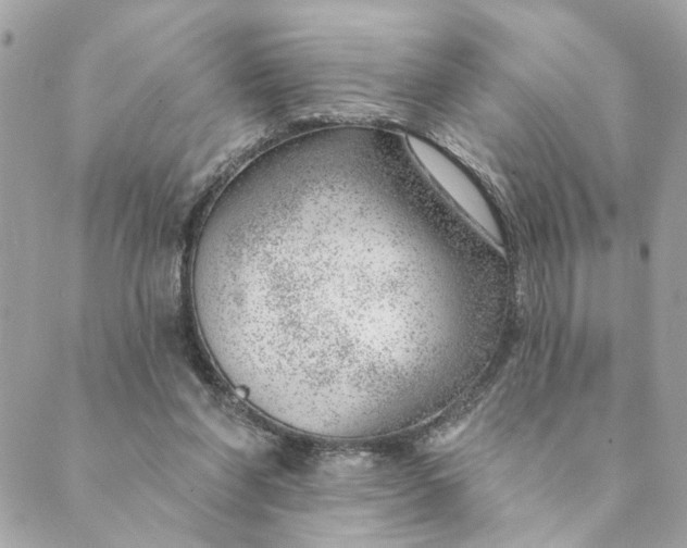 X0000088900206200706291513