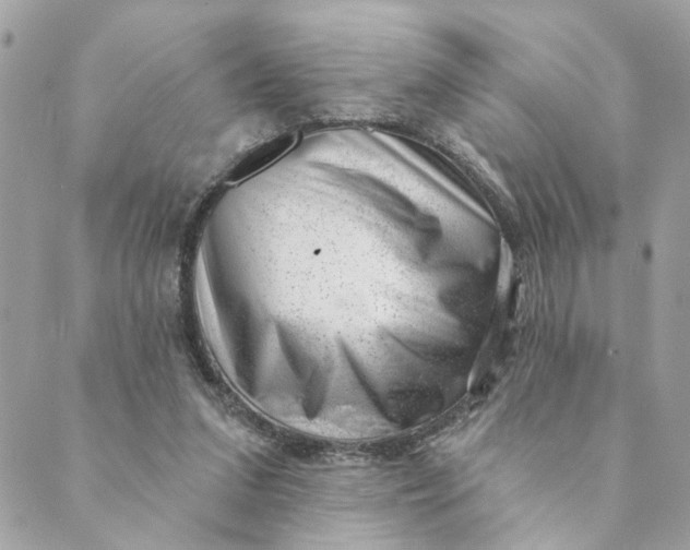 X0000088900207200706291513