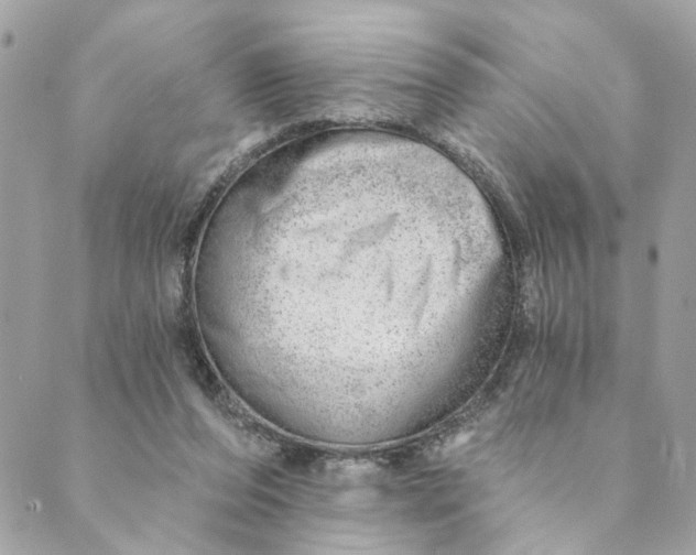 X0000088900208200706291513