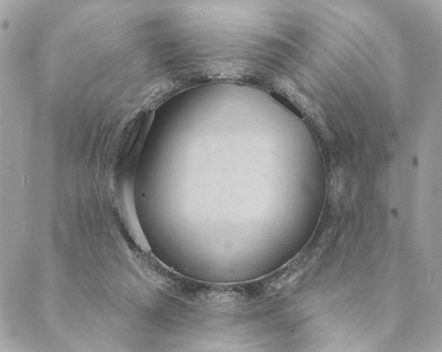 X0000088900209200706291513