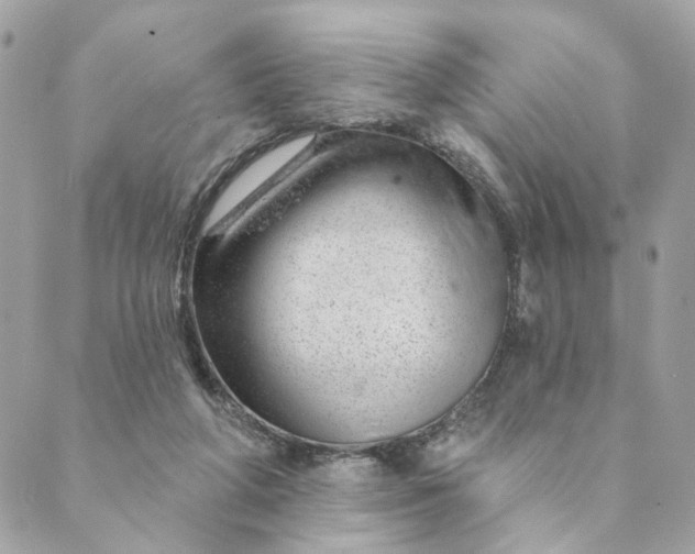 X0000088900210200706291513