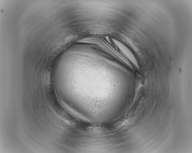 X0000088900211200706291513