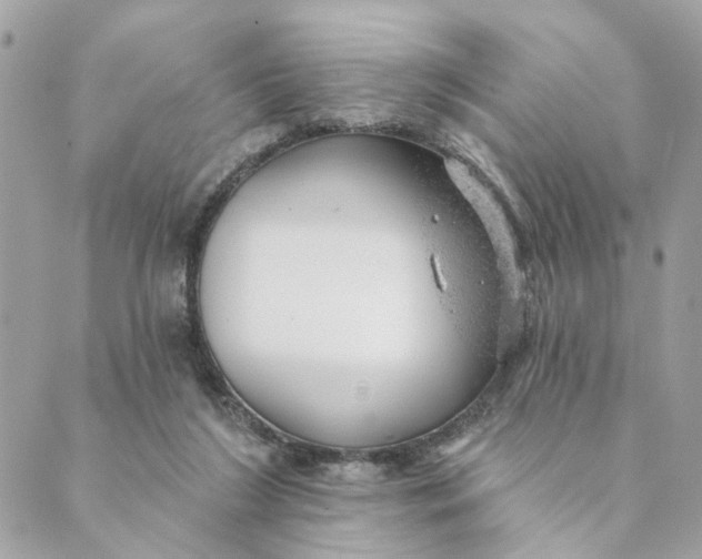 X0000088900212200706291513