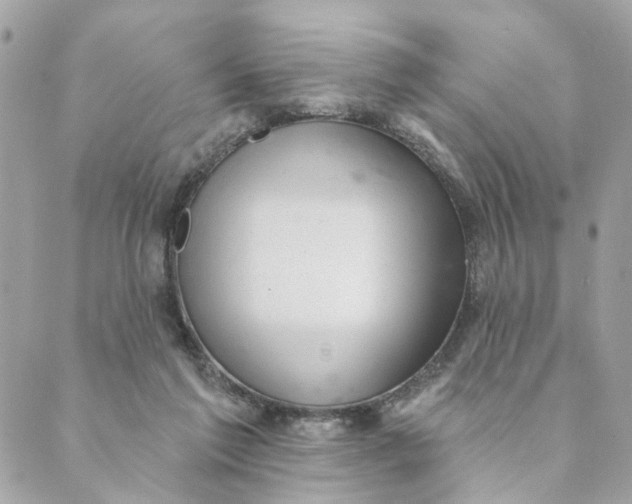 X0000088900213200706291513