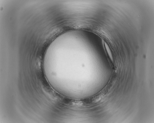 X0000088900214200706291513