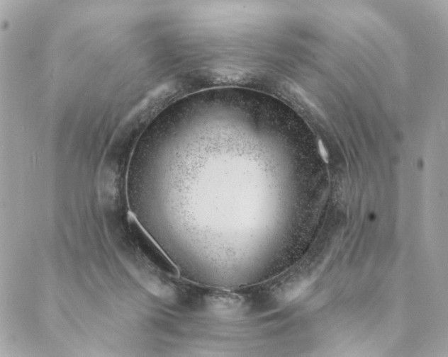 X0000088900215200706291513