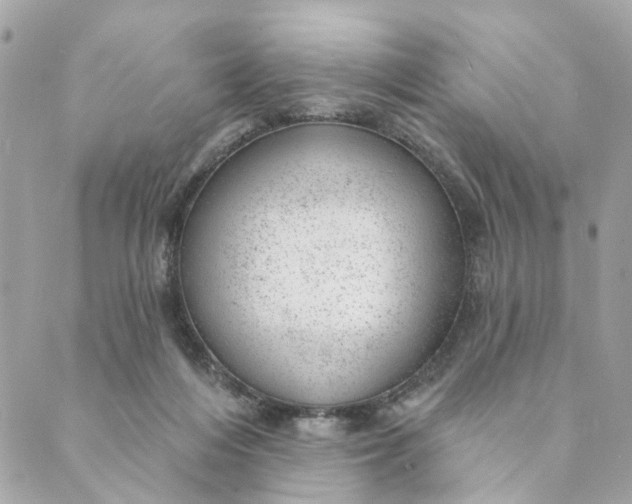 X0000088900216200706291513