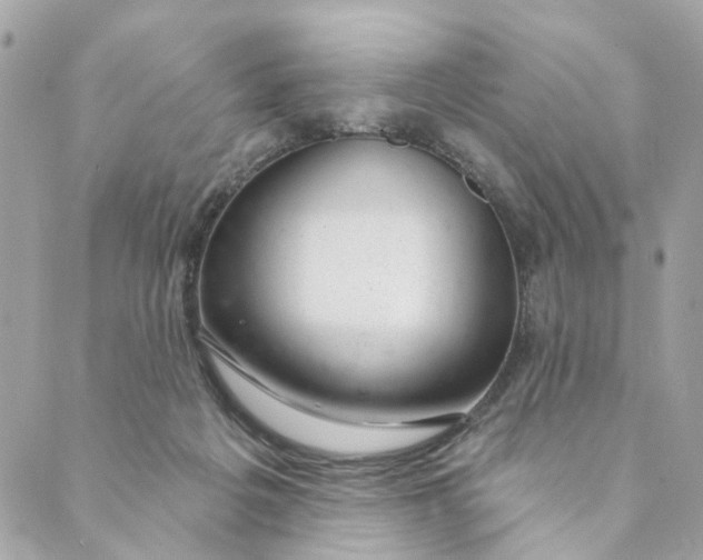 X0000088900217200706291512