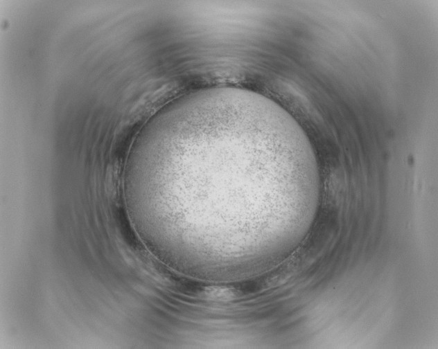 X0000088900218200706291512