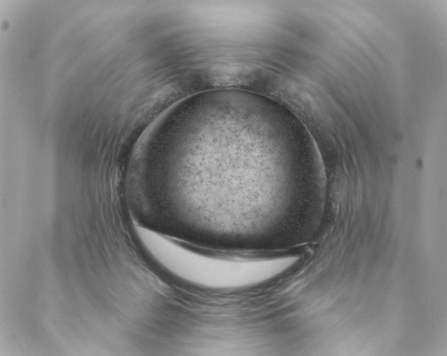 X0000088900219200706291512