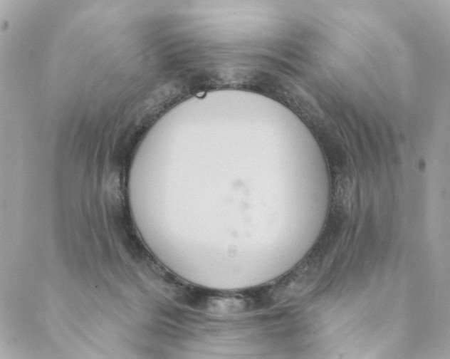 X0000088900220200706291512