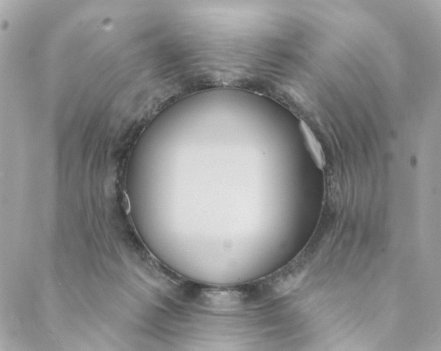 X0000088900221200706291512