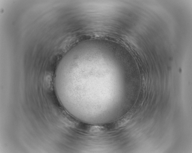 X0000088900222200706291512