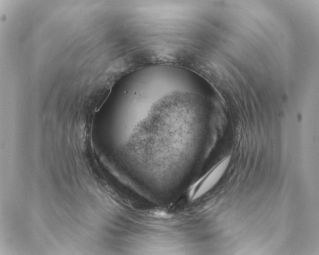 X0000088900223200706291512