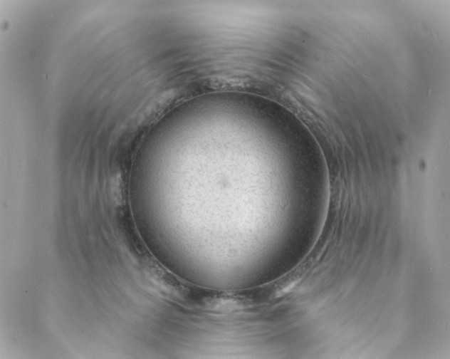 X0000088900224200706291512