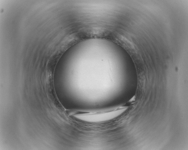 X0000088900225200706291512