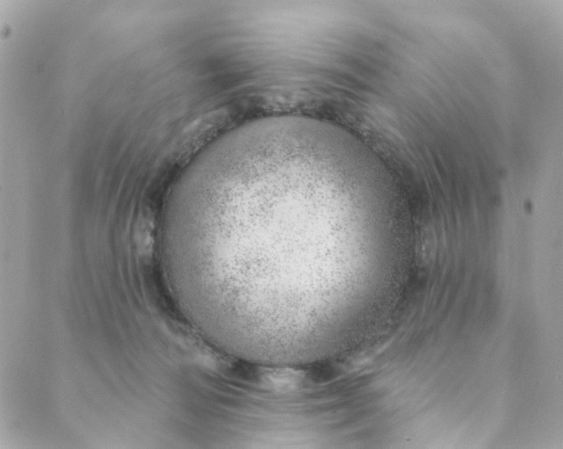 X0000088900226200706291512