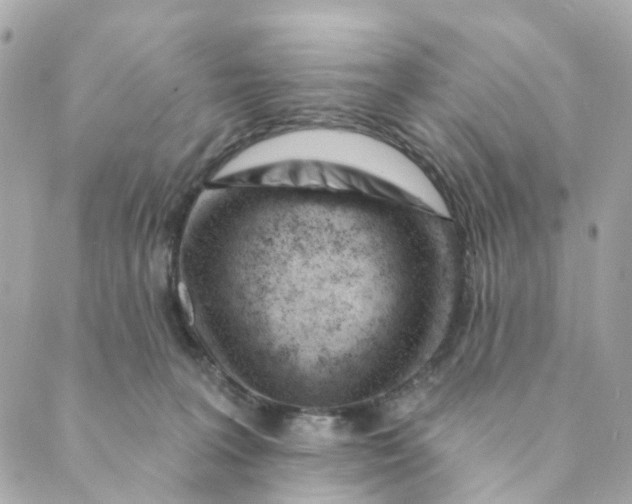 X0000088900227200706291512