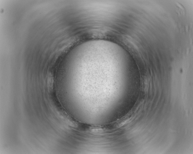 X0000088900228200706291512