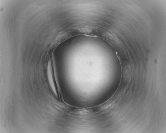 X0000088900229200706291512