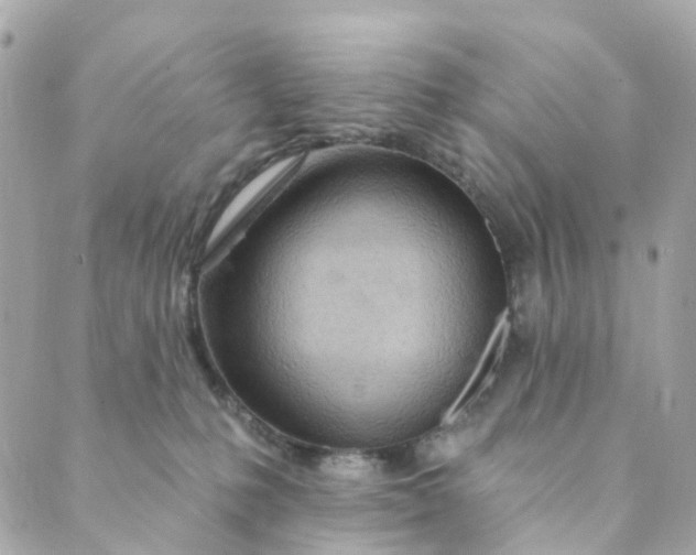 X0000088900231200706291512