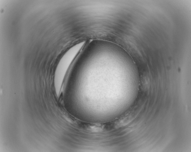 X0000088900232200706291512