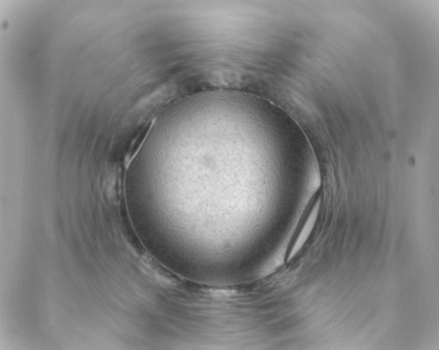 X0000088900233200706291512