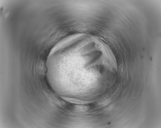 X0000088900234200706291512