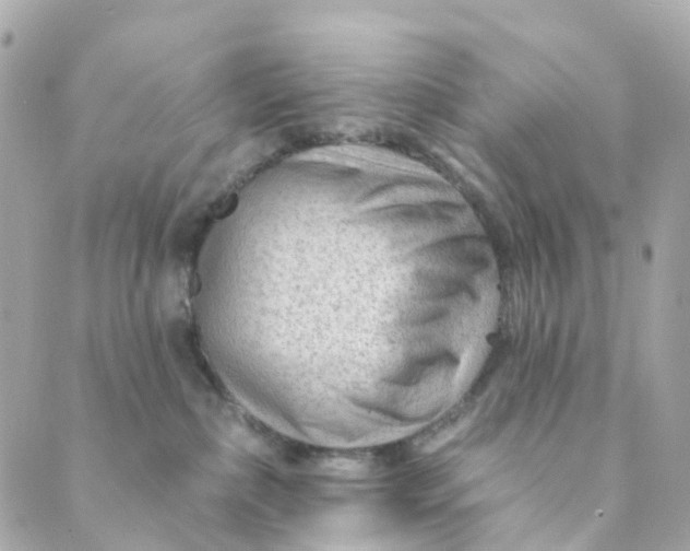 X0000088900236200706291512