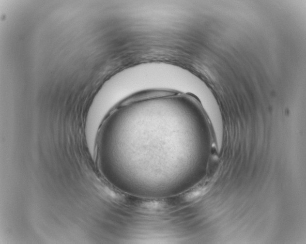 X0000088900237200706291512