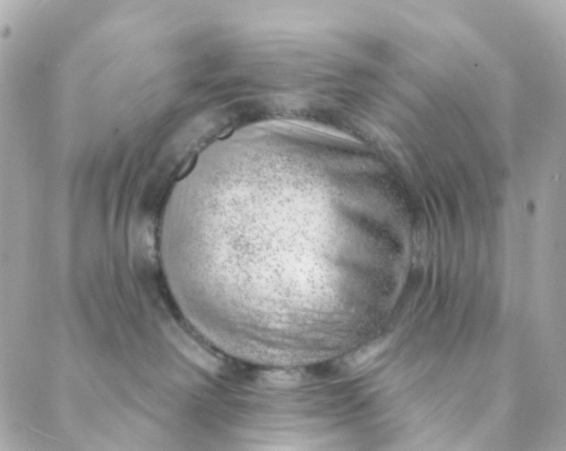 X0000088900238200706291512