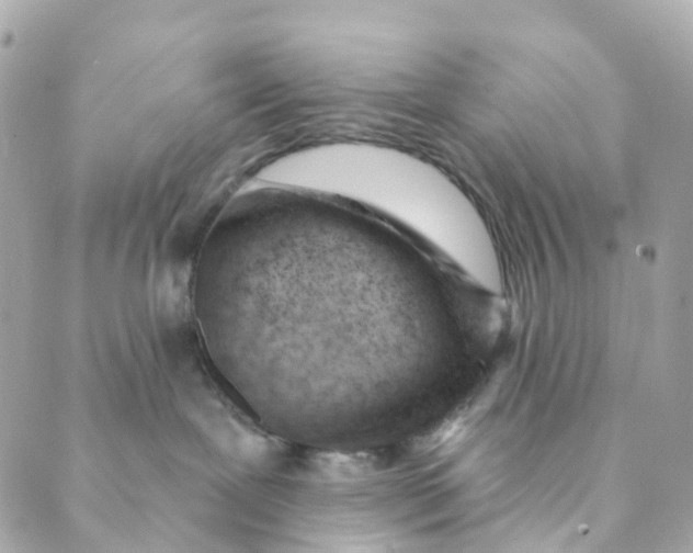 X0000088900239200706291512