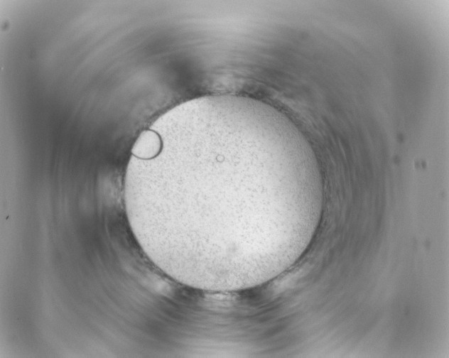 X0000088900240200706291512