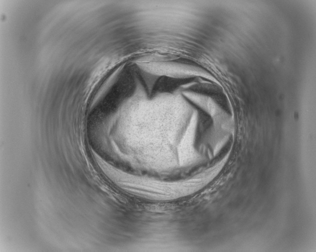 X0000088900241200706291511